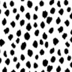 Meet your Posher, Lilly